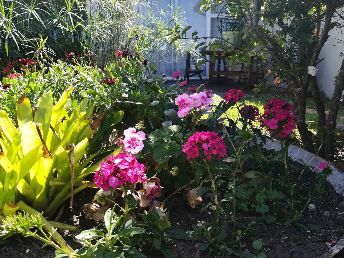 The Coelacanth Guest House And Beach Thyme Self Catering Kiddʼs Beach Εξωτερικό φωτογραφία